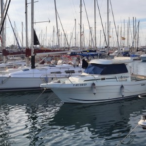 nederland/den-helder