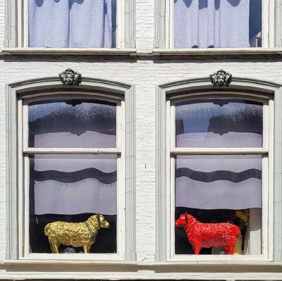 nederland/dordrecht/voorstraat