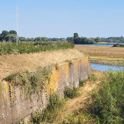 nederland/gorinchem/altenawal