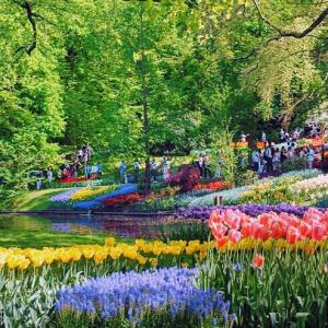 nederland/keukenhof