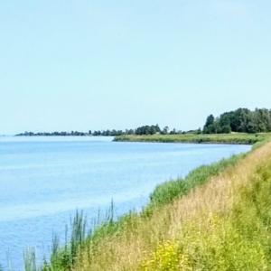 nederland/marken/bukdijk