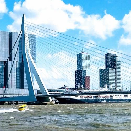 nederland/rotterdam/erasmusbrug