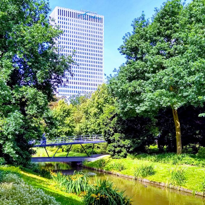 nederland/rotterdam/museumpark