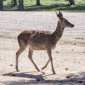 osterreich/naturpark-karwendel