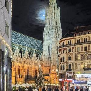 osterreich/wien/stephansdom