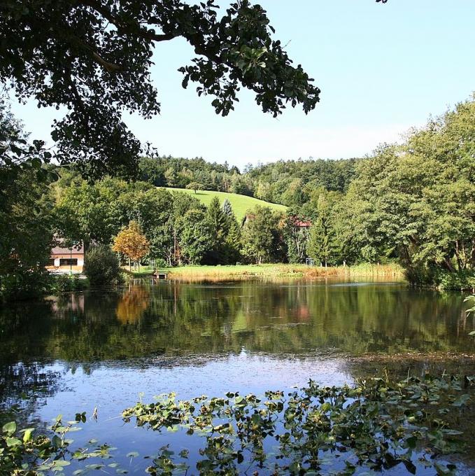 osterreich/wienerwald