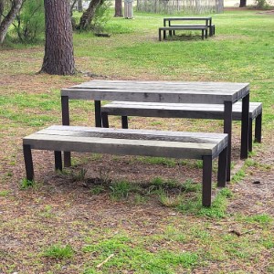 polska/biebrzanski-park-narodowy