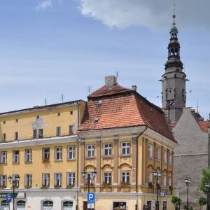 polska/jawor