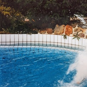 polska/krynica-zdroj