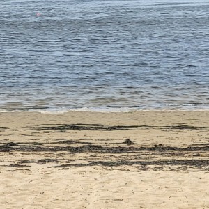 polska/wolinski-park-narodowy