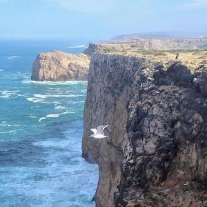 portugal/cabo-de-sao-vicente