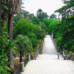 portugal/coimbra/jardim-botanico-da-universidade