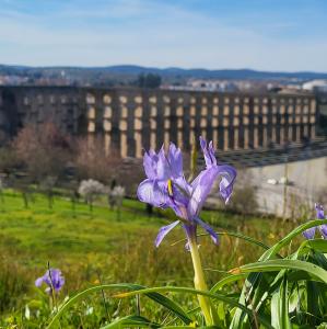 portugal/elvas/aqueduto-da-amoreira