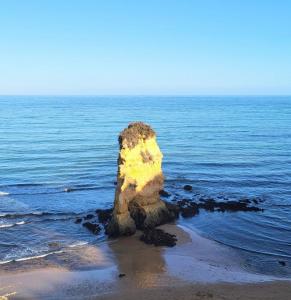 portugal/lagos/panorama-de-praia-dona-ana