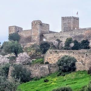 portugal/monsaraz/castelo-de-monsaraz