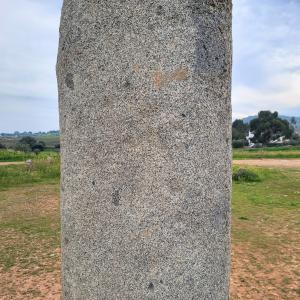 portugal/monsaraz/cromeleque-do-xerez