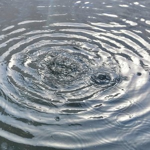 portugal/parque-natural-do-vale-do-guadiana