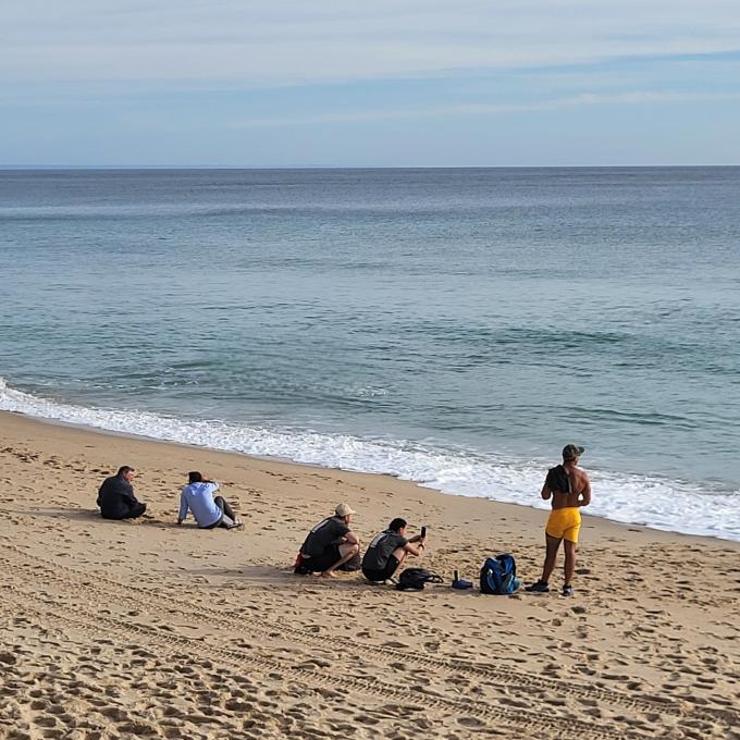 portugal/sesimbra/praia-do-ribeiro-do-cavalo