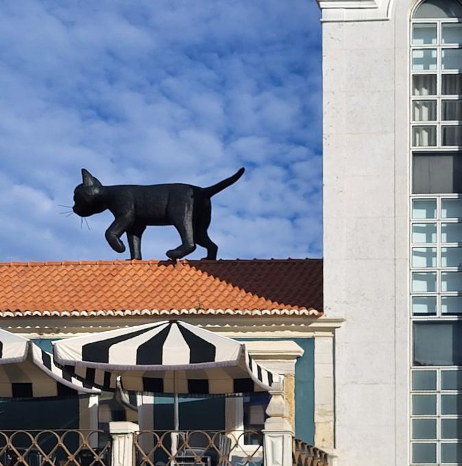 portugal/setubal/praca-do-bocage