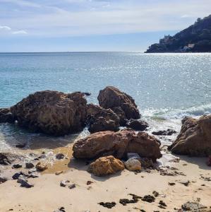 portugal/setubal/praia-do-creiro