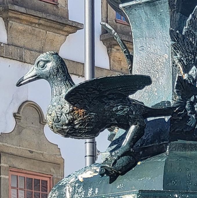 portugal/vila-real/avenida-carvalho-araujo