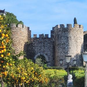 portugal/vila-vicosa/castelo