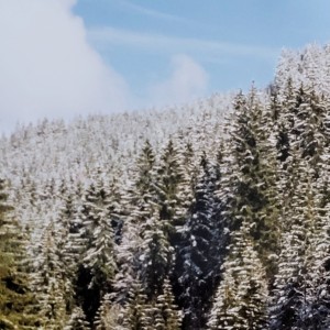 schweiz/alpes-vaudoises