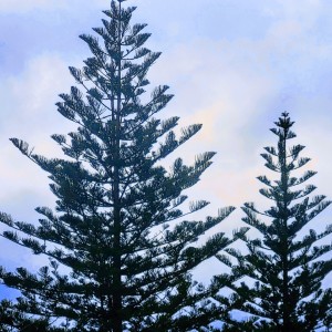 schweiz/berner-oberland