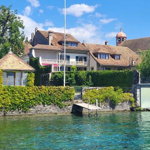 schweiz/coppet/panorama