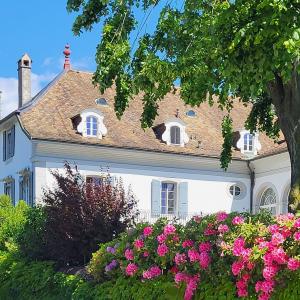 schweiz/coppet/panorama