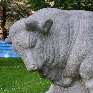 schweiz/geneve/musee-d-histoire-naturelle