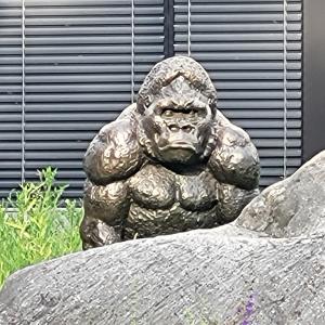 schweiz/geneve/musee-d-histoire-naturelle