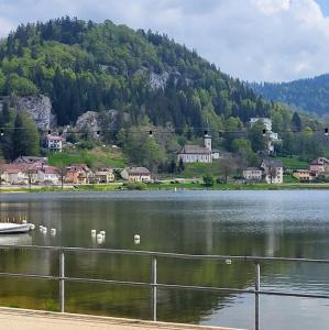 schweiz/lac-de-joux
