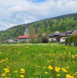 schweiz/lac-de-joux/l-abbaye