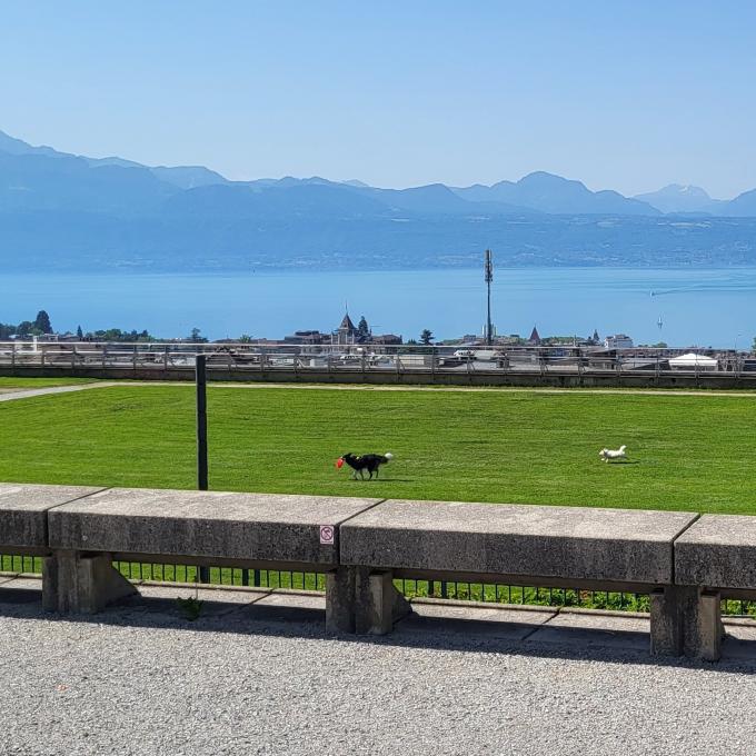 schweiz/lausanne/esplanade-de-montbenon