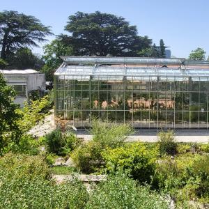 schweiz/lausanne/jardin-botanique