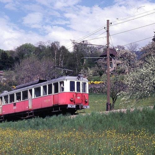 schweiz/les-pleiades/train-a-cremaillere