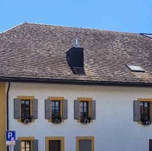 schweiz/prangins