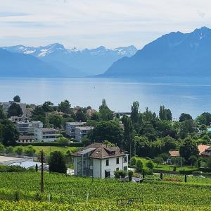 schweiz/pully/panorama-de-l-esplanade-du-prieure