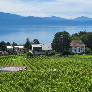 schweiz/pully/panorama-de-l-esplanade-du-prieure