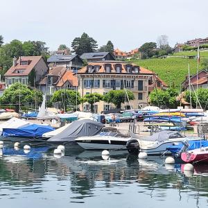 schweiz/pully/port-de-pully
