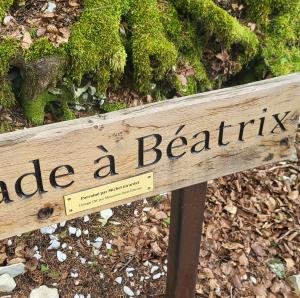 schweiz/saint-cergue/balade-a-beatrix-parc-du-vieux-chateau
