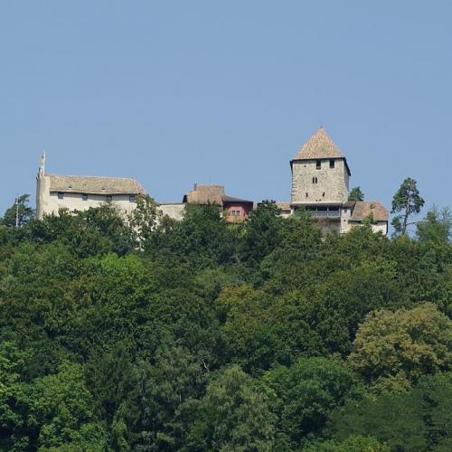 schweiz/stein-am-rhein/burg-hohenklingen