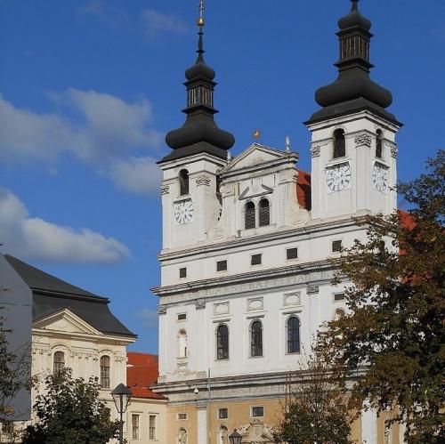 slovensko/trnava/katedrala-svateho-jana-krstitela