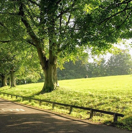 united-kingdom/bath/alexandra-park