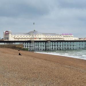 united-kingdom/brighton/brighton-pier