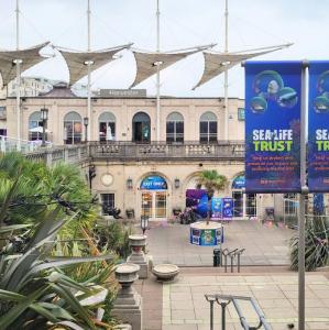 united-kingdom/brighton/sea-life-brighton