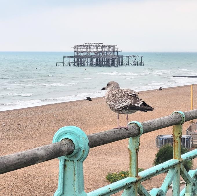 united-kingdom/brighton/west-pier