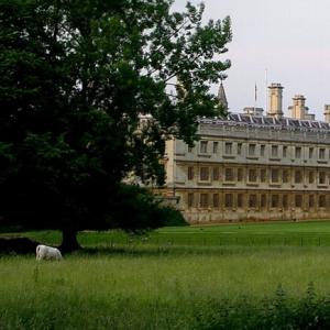 united-kingdom/cambridge/the-backs-of-the-colleges