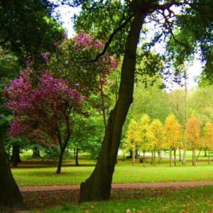 united-kingdom/cardiff/bute-park